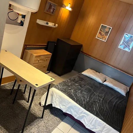 Studio 15m2 Centre Dore Lejlighed *
