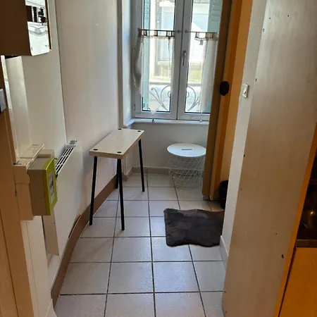 Studio 15m2 Centre Dore Lejlighed *